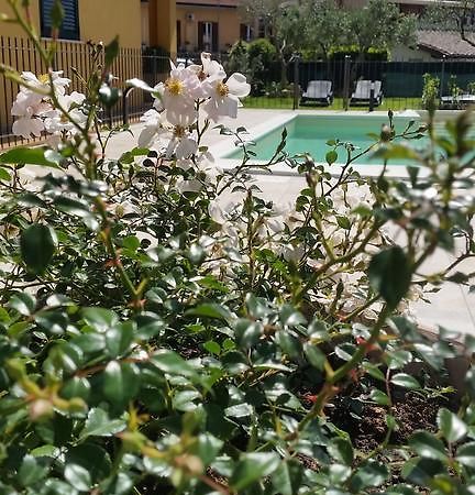 Hostal Residenza Cieloterra Rivotorto Exterior foto